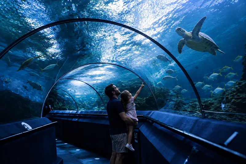 Посетительница смотрит на рыб в подводном туннеле океанариума SEA LIFE Bangkok Ocean World