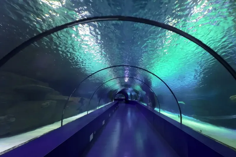 Остекленный подводный туннель океанариума SEA LIFE Bangkok с проплывающими рыбами и скатами.