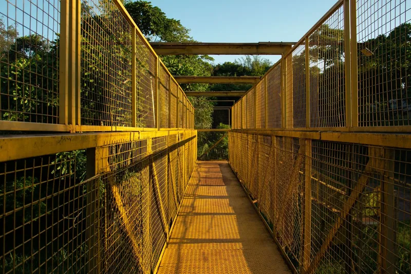 Деревянный подвесной мост canopy walkway над тропическим лесом в заповеднике слонов