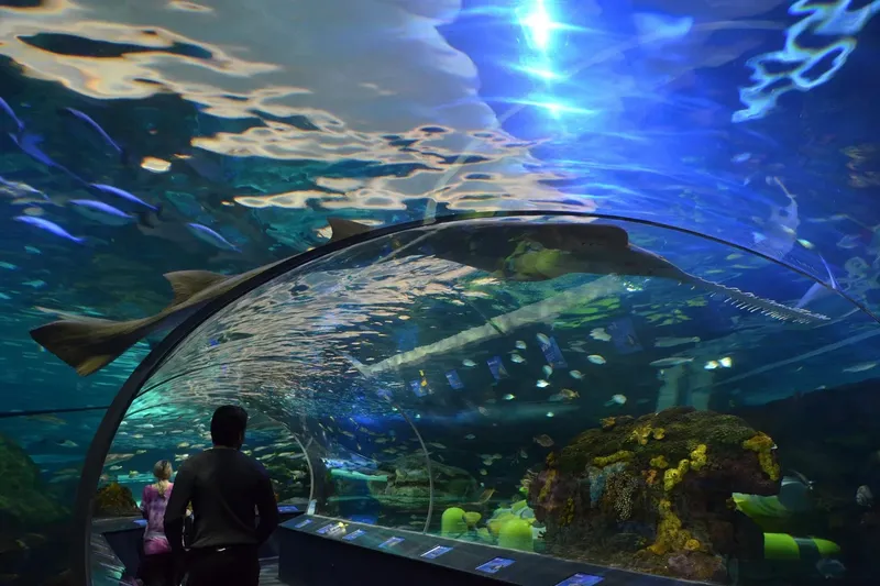 Подводный стеклянный тоннель океанариума SEA LIFE Bangkok с акулами и скатами